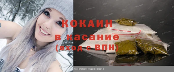 СК Алексин