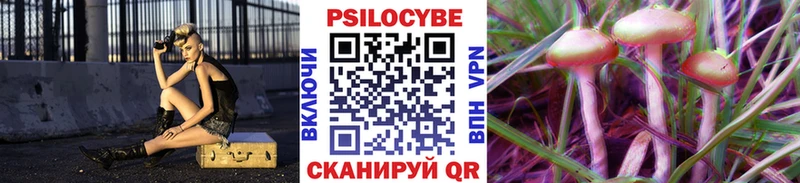 Псилоцибиновые грибы Cubensis  Льгов 
