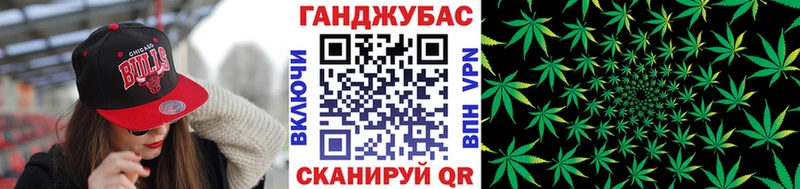Конопля гибрид  Льгов 